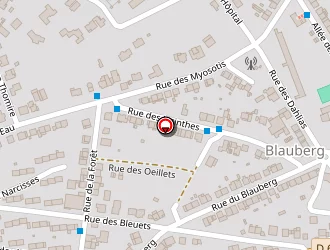 Carte de Kennel Mike à Sarreguemines