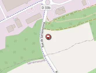 Carte de Dzidic Geoffrey à Sarreinsming