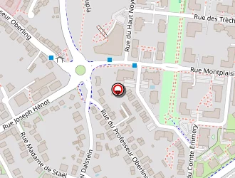 Carte de Sadowski Cédric à Metz