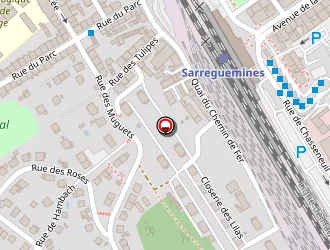 Carte de Jacobs Dieter à Sarreguemines