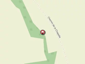 Carte de Pinson Steve à Survilliers