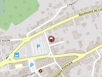 Carte de Privilège à Saint-avold