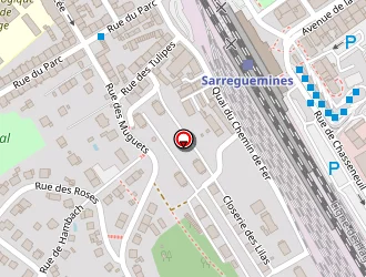 Carte de Schaaf Michel à Sarreguemines