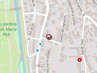 Carte de Lorenzi Gérard à Metz