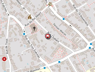 Carte de Cayzelle Roger à Metz