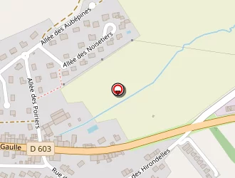 Carte de Tillmann Catherine à Courcelles-chaussy