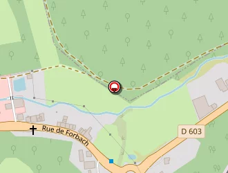 Carte de Newcamp 57 à Macheren