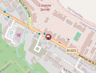 Carte de Royer Julie à Châtel-saint-germain