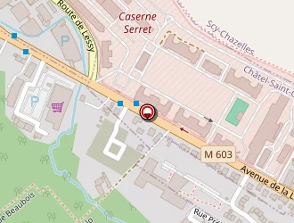 Carte de Compagnie Republicaine De Securite (sgap) à Châtel-saint-germain