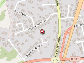 Carte de C.i.m.e.l à Saint-avold