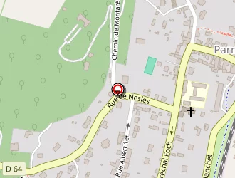 Carte de Deshayes Gilles à Parmain