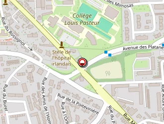 Carte de Ledoyen Tom à Saint-lô