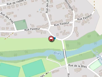 Carte de Lutz à Bliesbruck