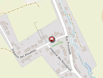 Carte de Hamman Martine à Seingbouse