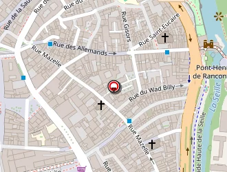 Carte de Iris à Metz