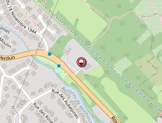 Carte de Ploncard Eric à Châtel-saint-germain