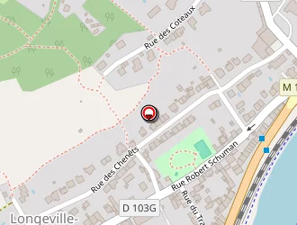 Carte de Phoenix Solutions à Longeville-lès-metz