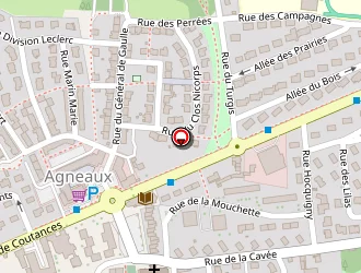 Carte de Pizza Capri à Agneaux