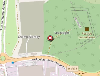 Carte de Feyel à Metz