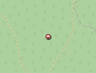 Carte de Dehedin Laurent à Chapelle-du-bois-des-faulx (la)