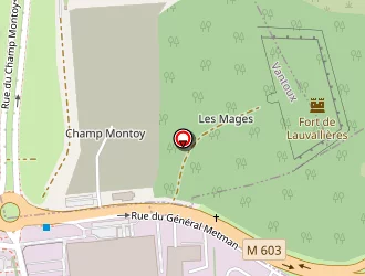 Carte de Hervé Thermique à Metz