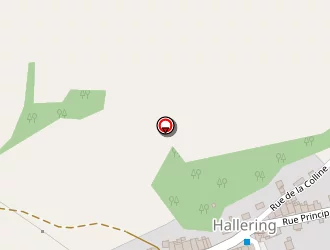 Carte de Storemania à Hallering