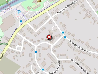 Carte de Schmitt Claude à Sarreguemines