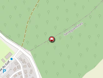 Carte de Scarpino Eric à Sarreguemines