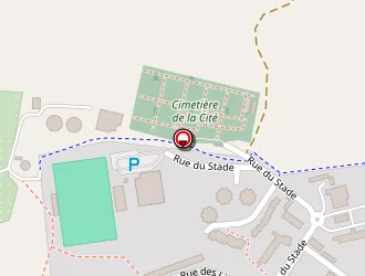 Carte de Maameri Mohamed à Farébersviller