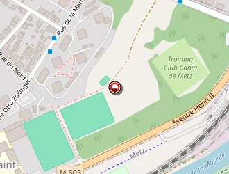 Carte de Petanque à Metz