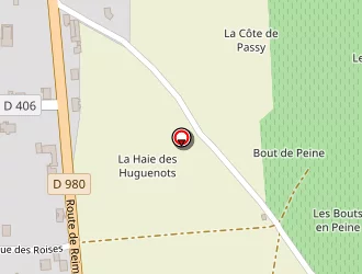 Carte de Robion Chantal à Passy-grigny