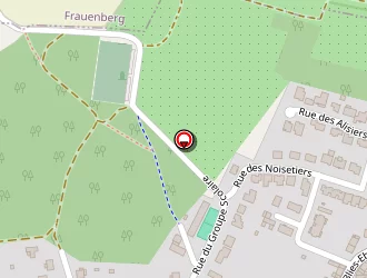 Carte de M.s Coiffure à Sarreguemines