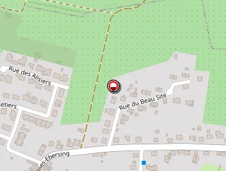 Carte de Rohr Benoit à Sarreguemines