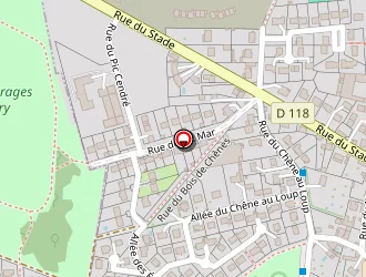 Carte de Eric Touré Taxi à Chapelle-en-serval (la)