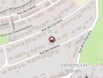 Carte de Alzonne Serge à Metz