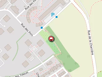 Carte de Gallin à Metz