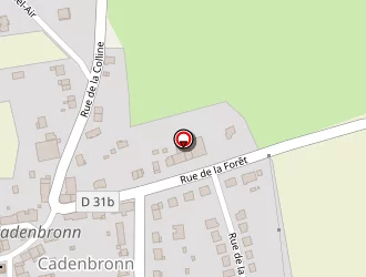 Carte de Es Peintures à Nousseviller-saint-nabor