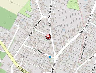 Carte de Steinmann Joffrey à Orry-la-ville