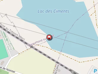 Carte de Champignons Des Bois à Nointel