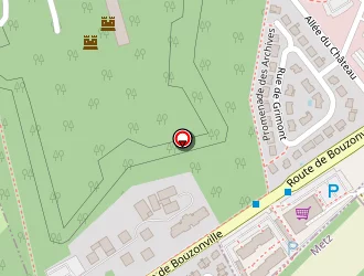 Carte de Garcia Albert à Metz