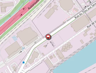 Carte de Ctre Lorrain Format Metiers Viand Bouc à Metz