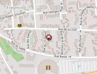 Carte de Gerne Roland à Freyming-merlebach