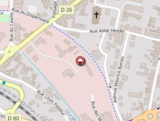 Carte de Gonigam Sophie à Freyming-merlebach