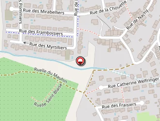 Carte de Nicoletti Sandra à Woippy