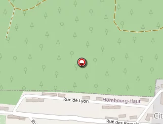 Carte de Caillet Robert à Hombourg-haut