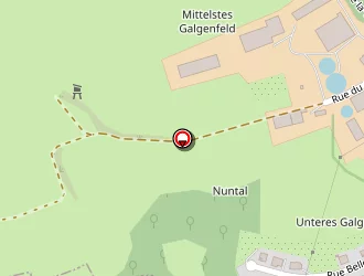 Carte de Ecole Primaire à Waldhouse