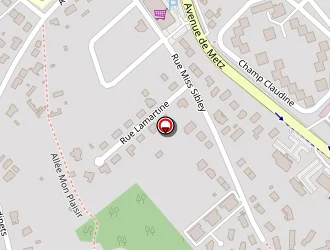 Carte de Entreprise Lsn à Verdun