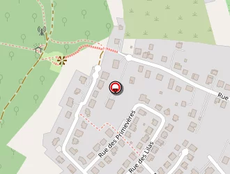 Carte de Taxi Cujko Frédéric à Grosbliederstroff