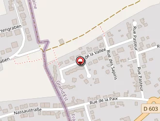 Carte de Complexe Sportif à Rosbruck