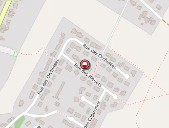 Carte de Ernst Denis à Porcelette